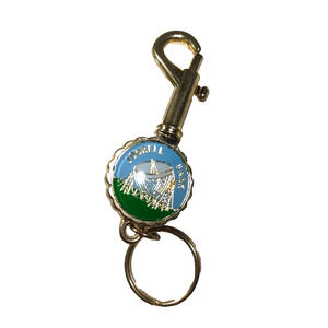 Joorell Back Luggage Purse Clip Keychain Gold Tone Satellite